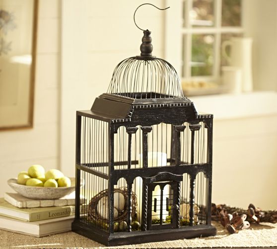 Bird Cage  ($129)