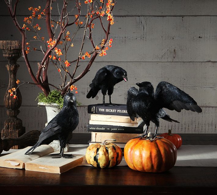 Faux Crows $24.50 / Pottery Barn